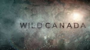 Wild Canada — foto 3