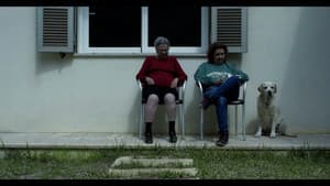 Mestre-espenya — foto 2