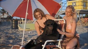 Funky Monkey — foto 4