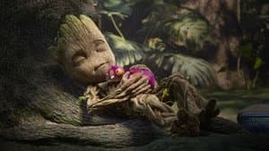 ¿Eres mi Groot?