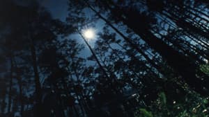 Wilderness: A Country in the Mind — foto 4