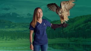 Dr. Oakley, Yukon Vet — foto 1