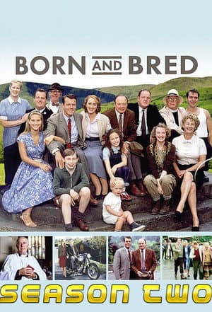 Temporada 2