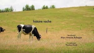 Episodio 26