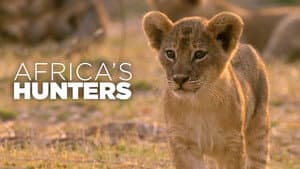Cazadores de África — foto 10