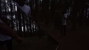 In The Pines — foto 1