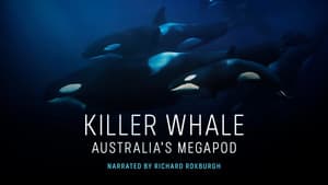 Killer Whale: Australia's Megapod — foto 1