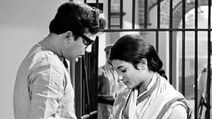 এখানে পিঞ্জর — foto 4