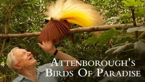 Attenborough's Paradise Birds — foto 2