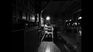 Falcatus — foto 11