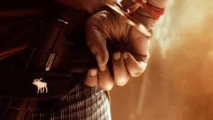 ఉస్తాద్ భగత్ సింగ్ — foto 3