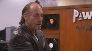 Episodio 8