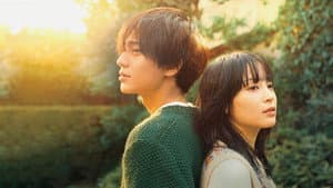 夕暮れに、手をつなぐ — foto 2