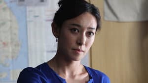 공정사회 — foto 2
