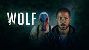 Wolf — foto 7