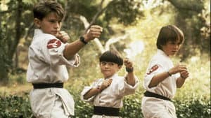 3 Ninjas — foto 10