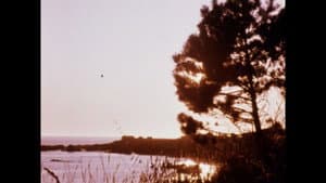 Matter of Clarity — foto 4