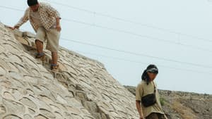 野马分鬃 — foto 8