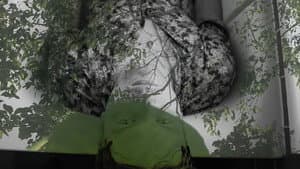 Longing of the idle plants — foto 1