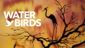 Water Birds — foto 3