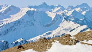 Winter am Alpenrand — foto 4