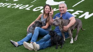 Cesar Millan's Dog Nation — foto 3