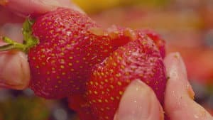 Fruity — foto 1