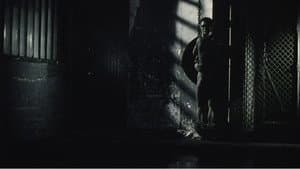 Nuit docile — foto 1
