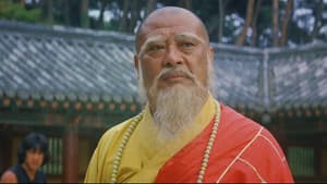 El espíritu del Kung Fu — foto 7