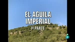 Episodio 58