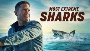 Most Extreme Sharks — foto 2