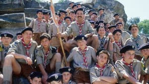 Scout toujours… — foto 2