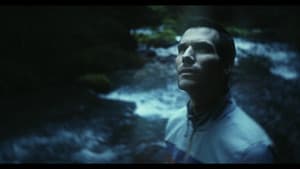 The Visitor — foto 1