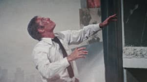 Terremoto — foto 12
