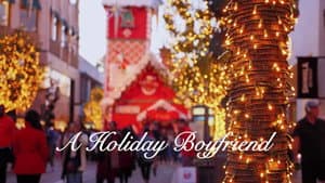 A Holiday Boyfriend — foto 5