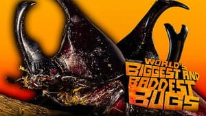The World's Biggest and Baddest Bugs — foto 2