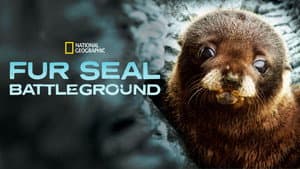 Fur Seals — foto 6
