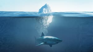 Shark Below Zero — foto 1