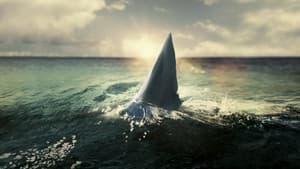 When Sharks Attack 360 — foto 5