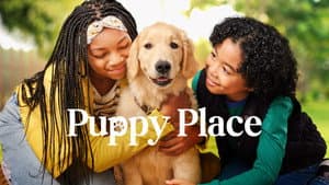 Perritos en busca de hogar — foto 10