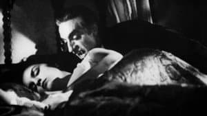 El vampiro — foto 5