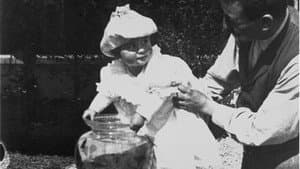 La pêche aux poissons rouges — foto 1