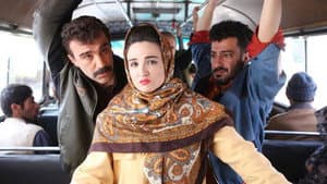 زودپز — foto 1