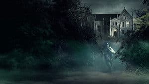 Blackwater Lane — foto 2