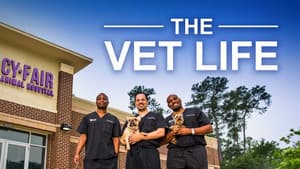 The Vet Life — foto 4