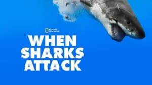 When Sharks Attack — foto 9