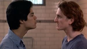 Bad Boys — foto 5