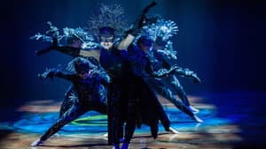 Cirque du Soleil: Amaluna — foto 11