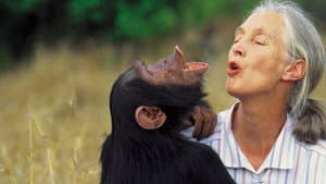 Jane Goodall: Saving Paradise — foto 2