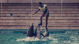 ¿Qué le pasó al rey de los delfines? — foto 1